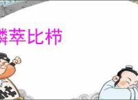鳞萃比栉