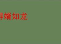 得婿如龙