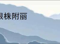根株附丽