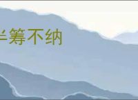 半筹不纳