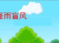 怪雨盲风