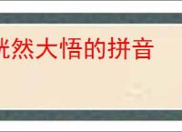 恍然大悟的拼音