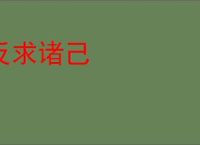 反求诸己