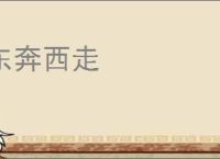 东奔西走