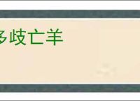 多歧亡羊