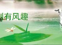 别有风趣