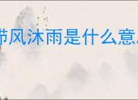 栉风沐雨是什么意思