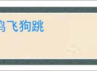 鸡飞狗跳
