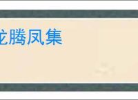 龙腾凤集