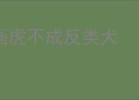 画虎不成反类犬