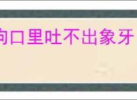 狗口里吐不出象牙