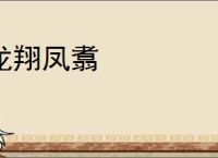 龙翔凤翥