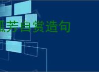孤芳自赏造句