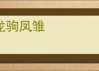 龙驹凤雏