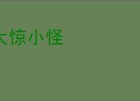 大惊小怪