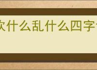 欢什么乱什么四字词语