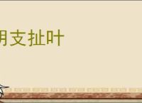 胡支扯叶