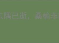 东隅已逝，桑榆非晚