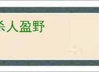 杀人盈野