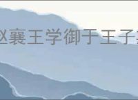 赵襄王学御于王子期