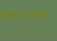 钓鱼是什么意思