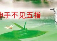 伸手不见五指