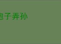 抱子弄孙