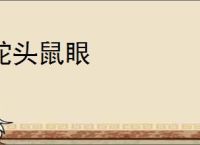 蛇头鼠眼