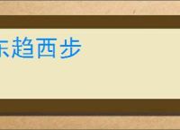 东趋西步