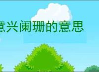 意兴阑珊的意思