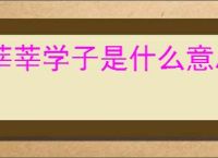 莘莘学子是什么意思?