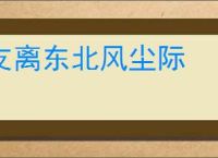 支离东北风尘际