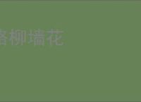 路柳墙花