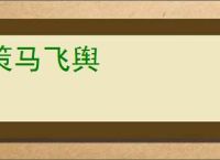 策马飞舆