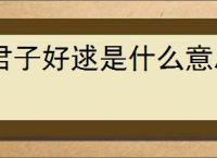 君子好逑是什么意思