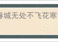春城无处不飞花寒食东风御柳斜的意思