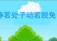 静若处子动若脱兔