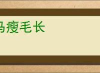 马瘦毛长