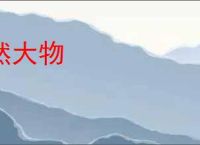 然大物
