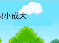 积小成大