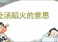 赴汤蹈火的意思