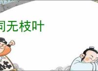 词无枝叶