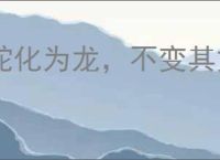 蛇化为龙，不变其文