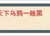 天下乌鸦一般黑