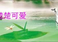 楚楚可爱