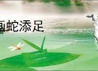 画蛇添足