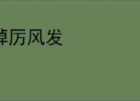 踔厉风发