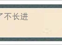 了不长进