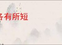 各有所短