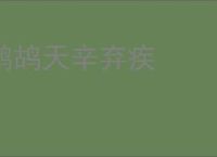 鹧鸪天辛弃疾